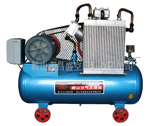 空壓機(jī)細(xì)分市場(chǎng)發(fā)展?fàn)顩r分析。